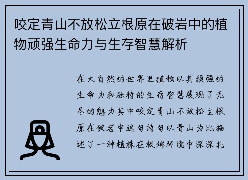 咬定青山不放松立根原在破岩中的植物顽强生命力与生存智慧解析