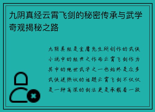 九阴真经云霄飞剑的秘密传承与武学奇观揭秘之路